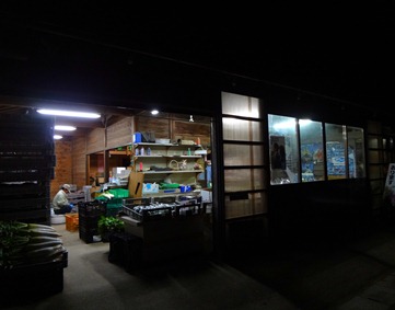 DSC00038 DSC00038