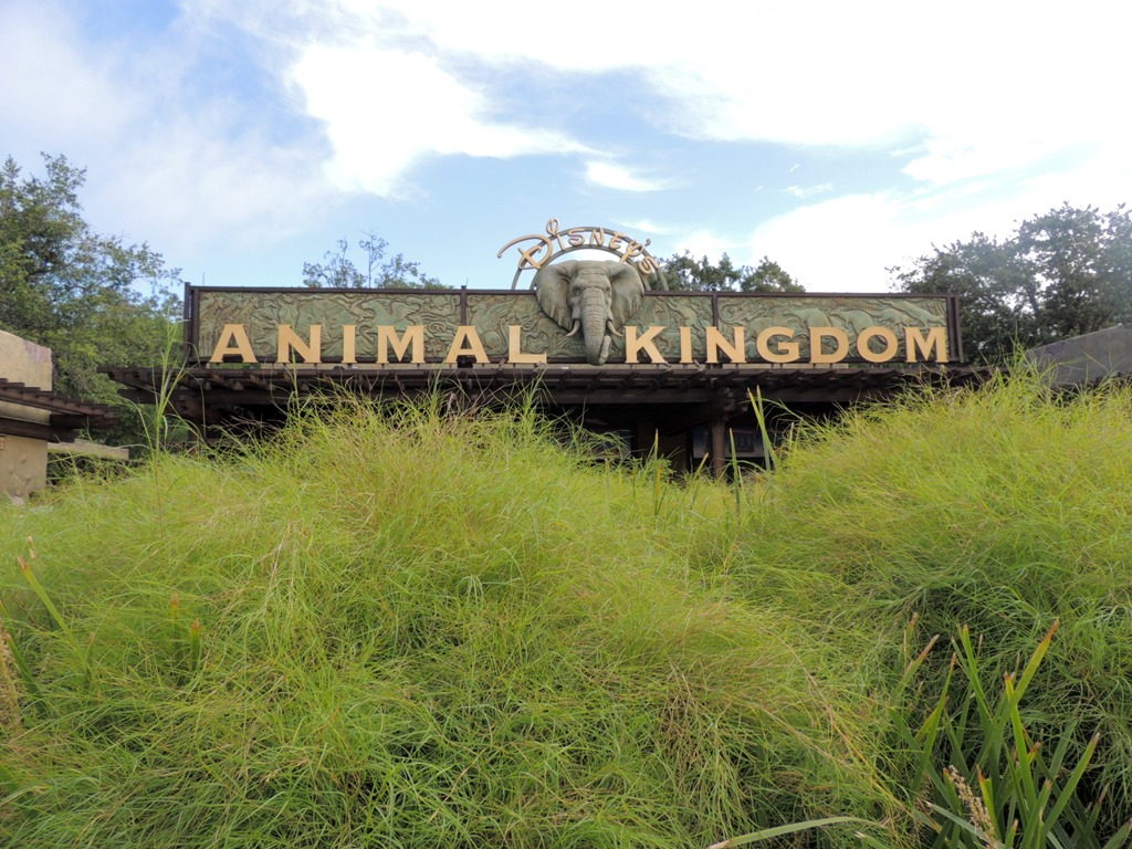 [DSCN4209%255B3%255D.jpg]