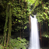 Emerald Pool Waterfall - Roseau, Dominica