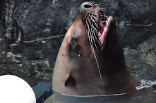 DSC_0093.JPG