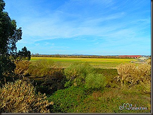 SAM_0064 SAM_0064