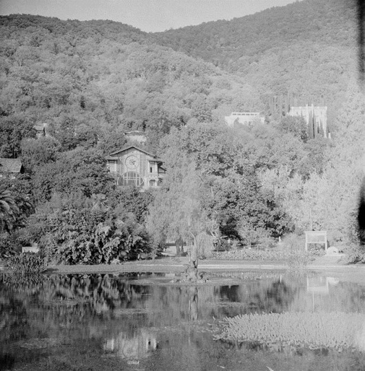 clip_image002 clip_image002