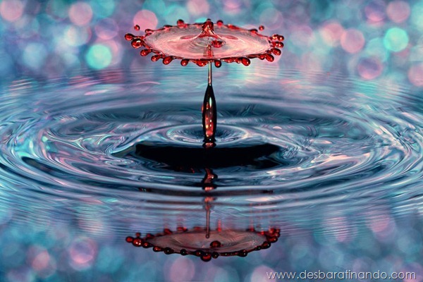 liquid-drop-art-gotas-caindo-foto-velocidade-hora-certa-desbaratinando (196) liquid-drop-art-gotas-caindo-foto-velocidade-hora-certa-desbaratinando (196)