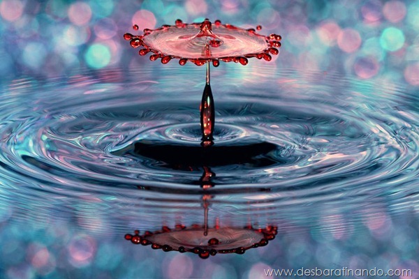 liquid-drop-art-gotas-caindo-foto-velocidade-hora-certa-desbaratinando (196)