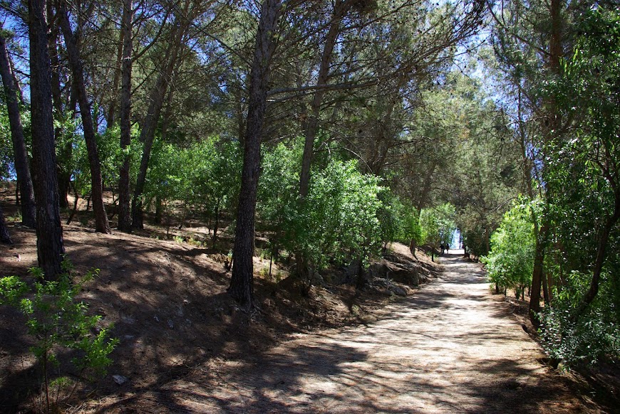 IMGP3022.JPG