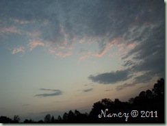DSC03661
