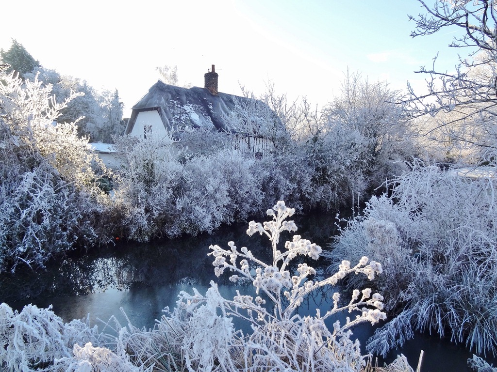 [2013%2520Jan%2520Ice%2520Storm%2520Cambridge%252025%255B4%255D.jpg]