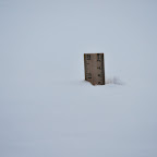 DSC_2400.jpg