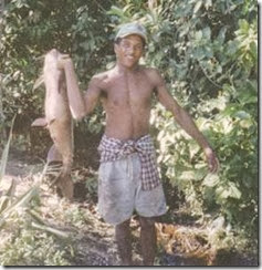 Peixe - Cotenda Peixe - Cotenda