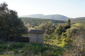 DSC06404.JPG
