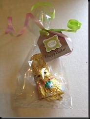 IMG_2537 IMG_2537