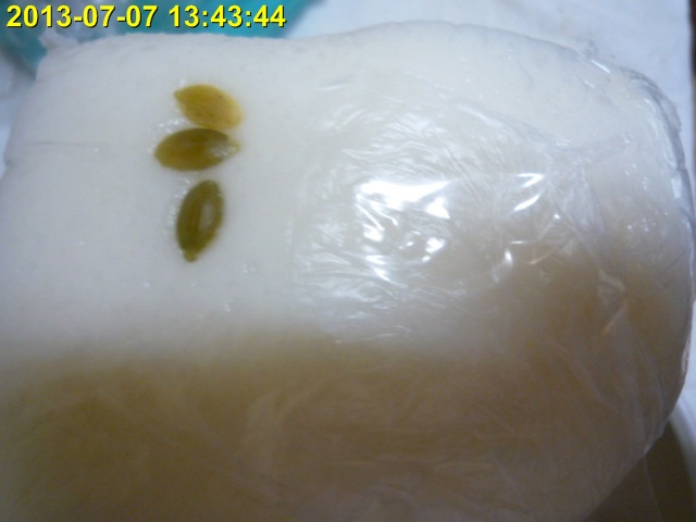P1010847