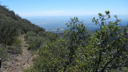 DSCN0135 DSCN0135
