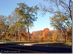fall01
