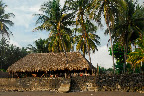 Surf House El Zonte - vista spiaggia