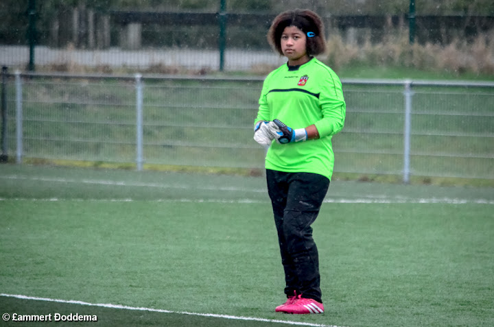 20140301 - WILDERVANK D4 - WVV D4 - 003.jpg