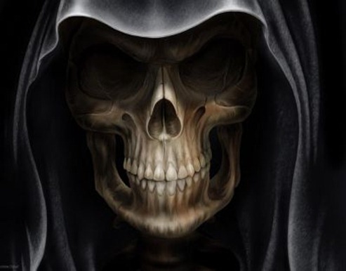 terror terror