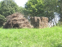 Plimoth Plant stacked wood and brush Plimoth Plant stacked wood and brush