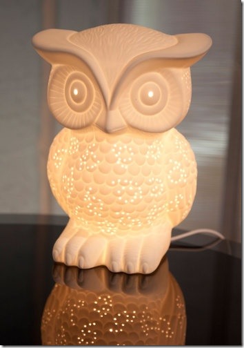 owl lanp owl lanp