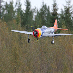 IMG_9590.JPG