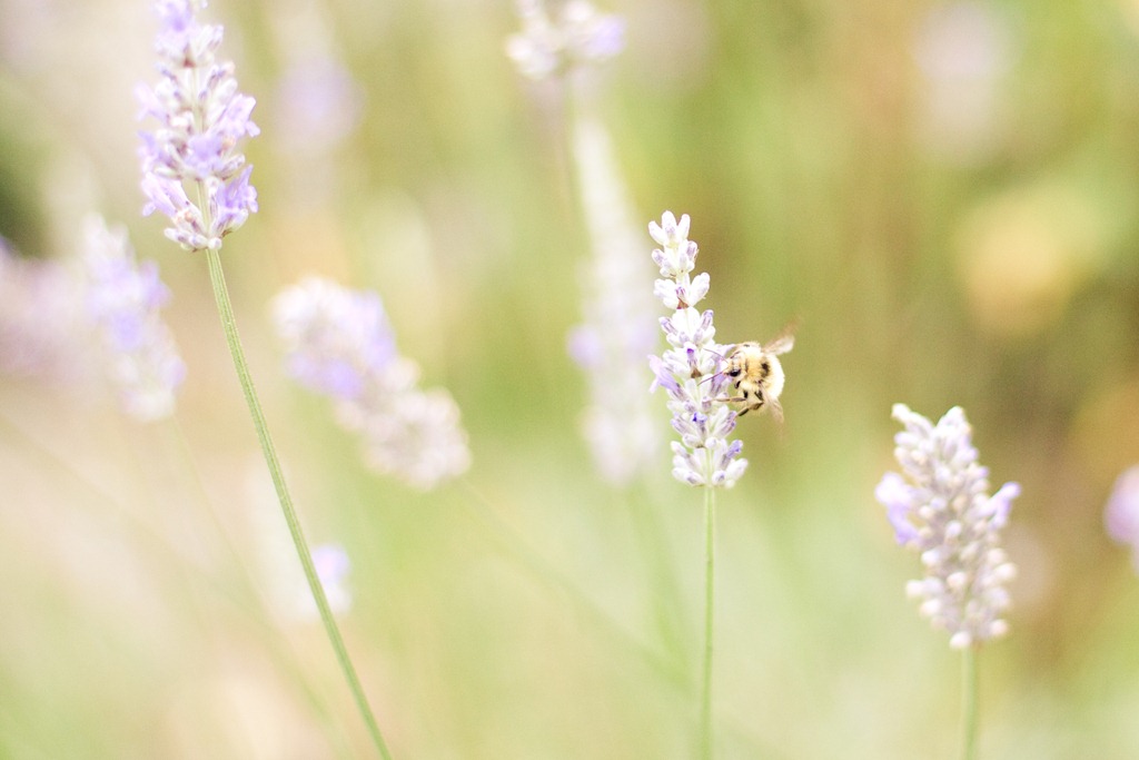 [20120807-IMG_7909-24.jpg]