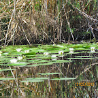 IMG_7626.JPG