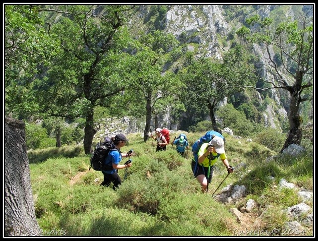 Picos 496 Picos 496