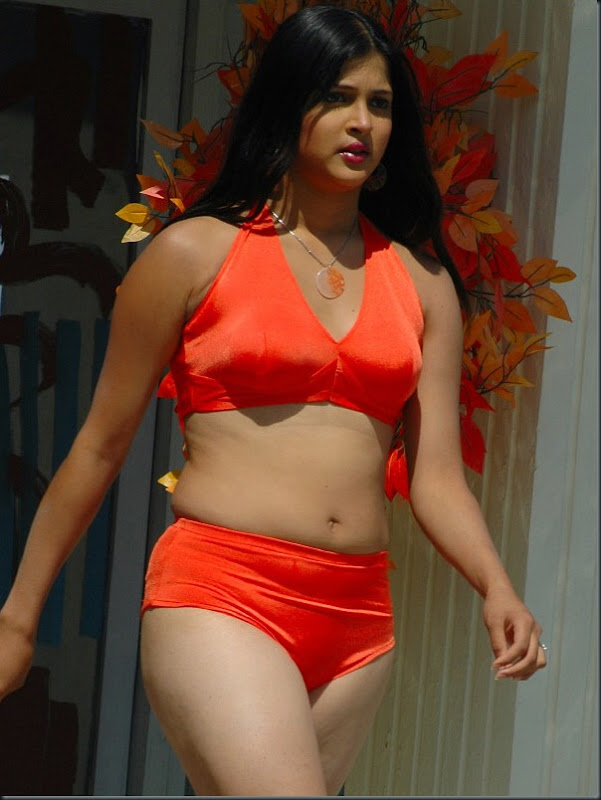 Telugu Actress Nicole Photos-2