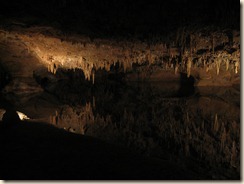 IMG_8969