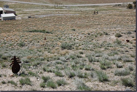 DSC_0592 DSC_0592