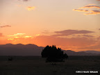 IMG_4175.JPG