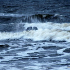 20100827_276_small.JPG