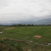 IMG_9467.JPG