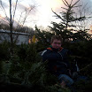 Tannenbaumaktion 08_807.jpg
