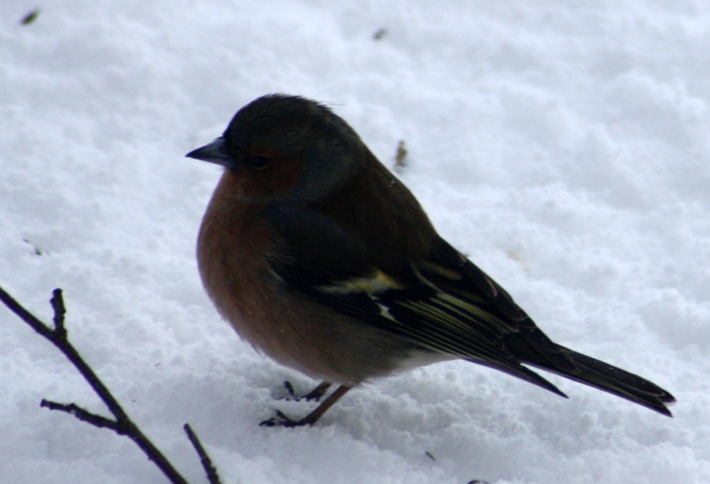 [IMG_8230%255B5%255D.jpg]