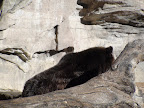 denver_zoo