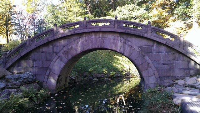 [IMAG05303.jpg]