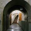 IMGP7386.JPG