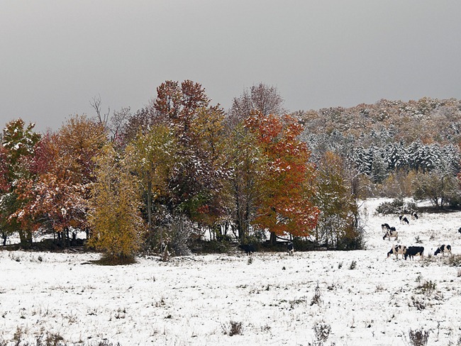 Fall-snow
