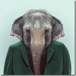elefant elefant