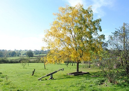 herfstkleuren