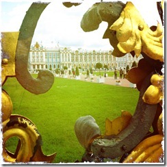IMG_1869 IMG_1869