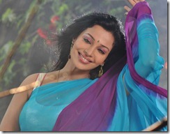 Actress Asha Saini in Aakasam Lo Sagam Hot Stills