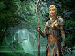 Elf Fighter In The Wood