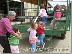IMG_5954 IMG_5954