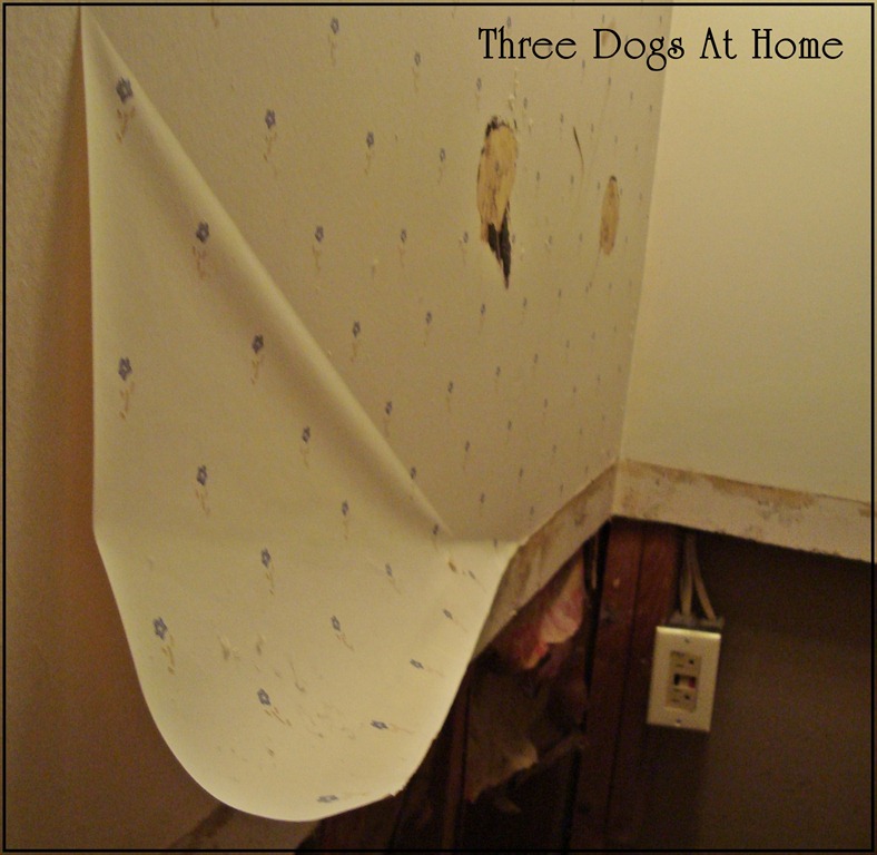 [house%2520pics%2520055%255B3%255D.jpg]