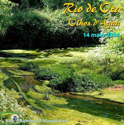 [Rio%2520Ota%2520-%2520Olhos%2520d%2527Agua%252014.05.14%255B3%255D.jpg]