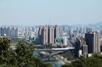 IMG_5545.JPG