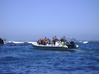 DSC08556.JPG