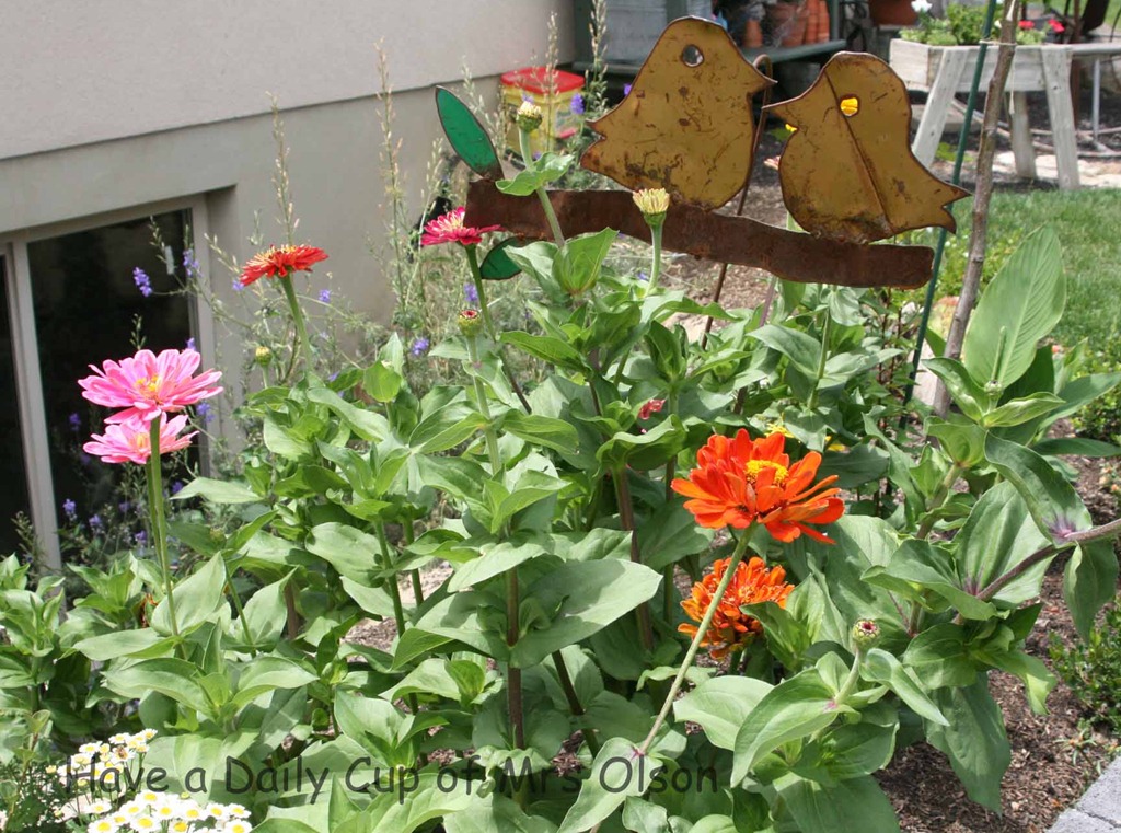 [IMG_7367%255B5%255D.jpg]